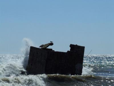 Прикрепленное изображение: 002.jpg